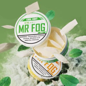 MR FOG DRY NICOTINE POUCHES 4MG 5/20 PACKS